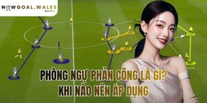 phòng ngự phản công là gì? khi nào nên áp dụng