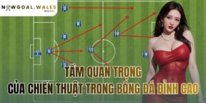 tầm quan trọng của chiến thuật trong bóng đá đỉnh cao